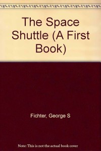 Image of The Space Shuttle