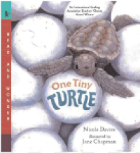 Image of One Tiny Turtle