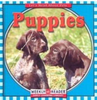 Image of Let's Learn About Pets: Puppies