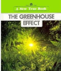 Image of The GreenHouse Effect
