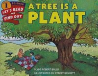 Image of A Tree Is a Plant