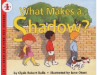 Image of What Makes a Shadow?